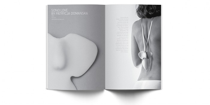 Objects of Desire Book Spread